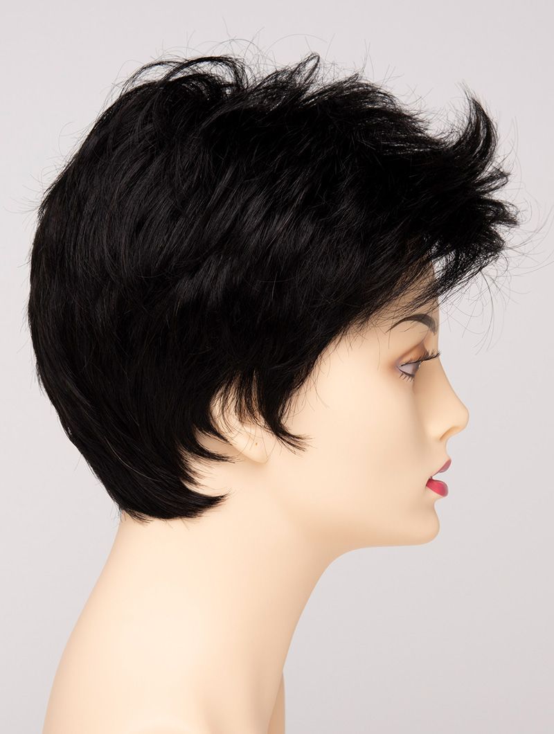 Raven Envy Wigs