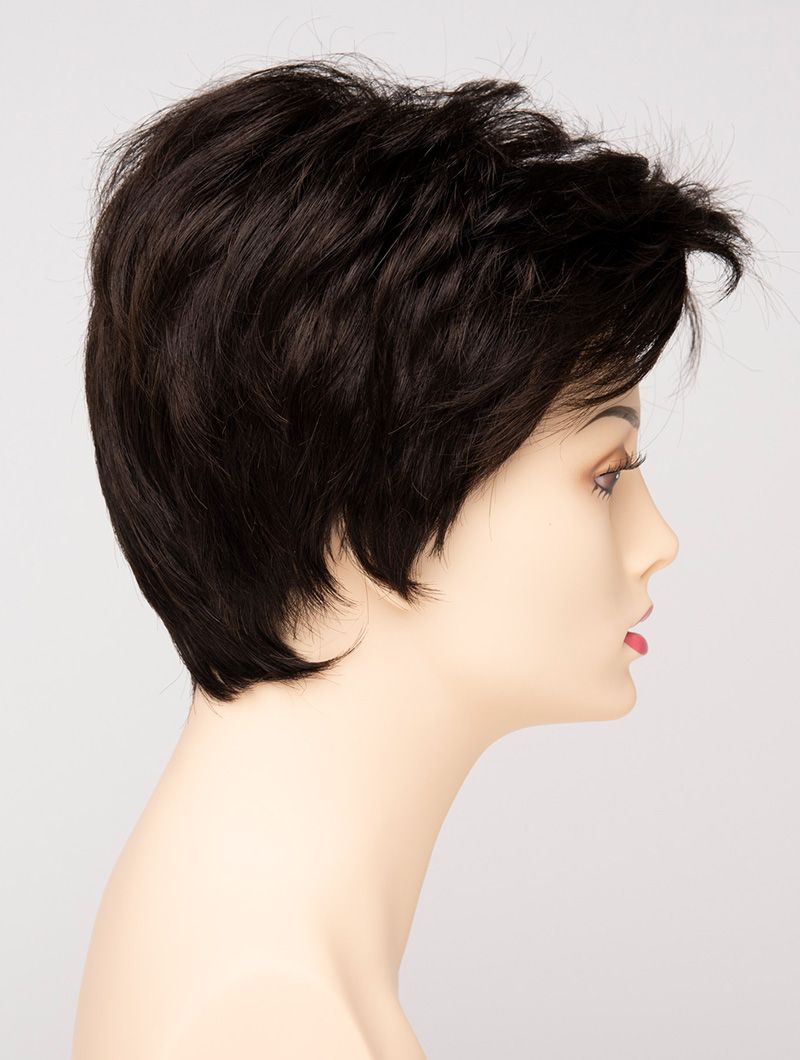 Raven Envy Wigs