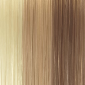 Paisley Hairware Wig