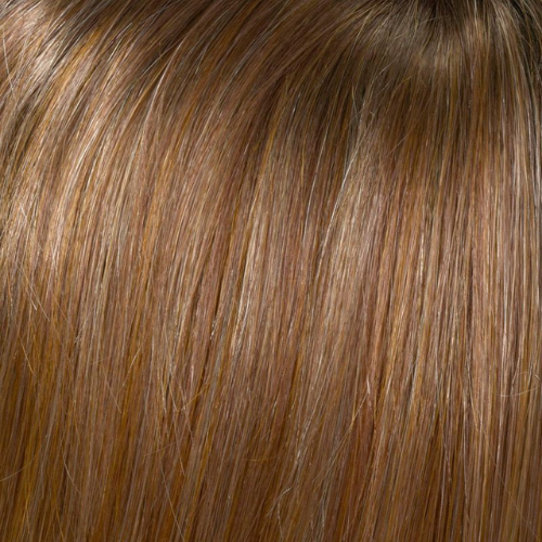 Megan Envy Wigs