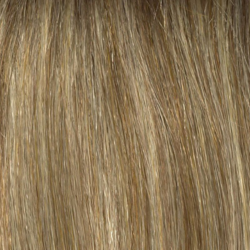Megan Envy Wigs