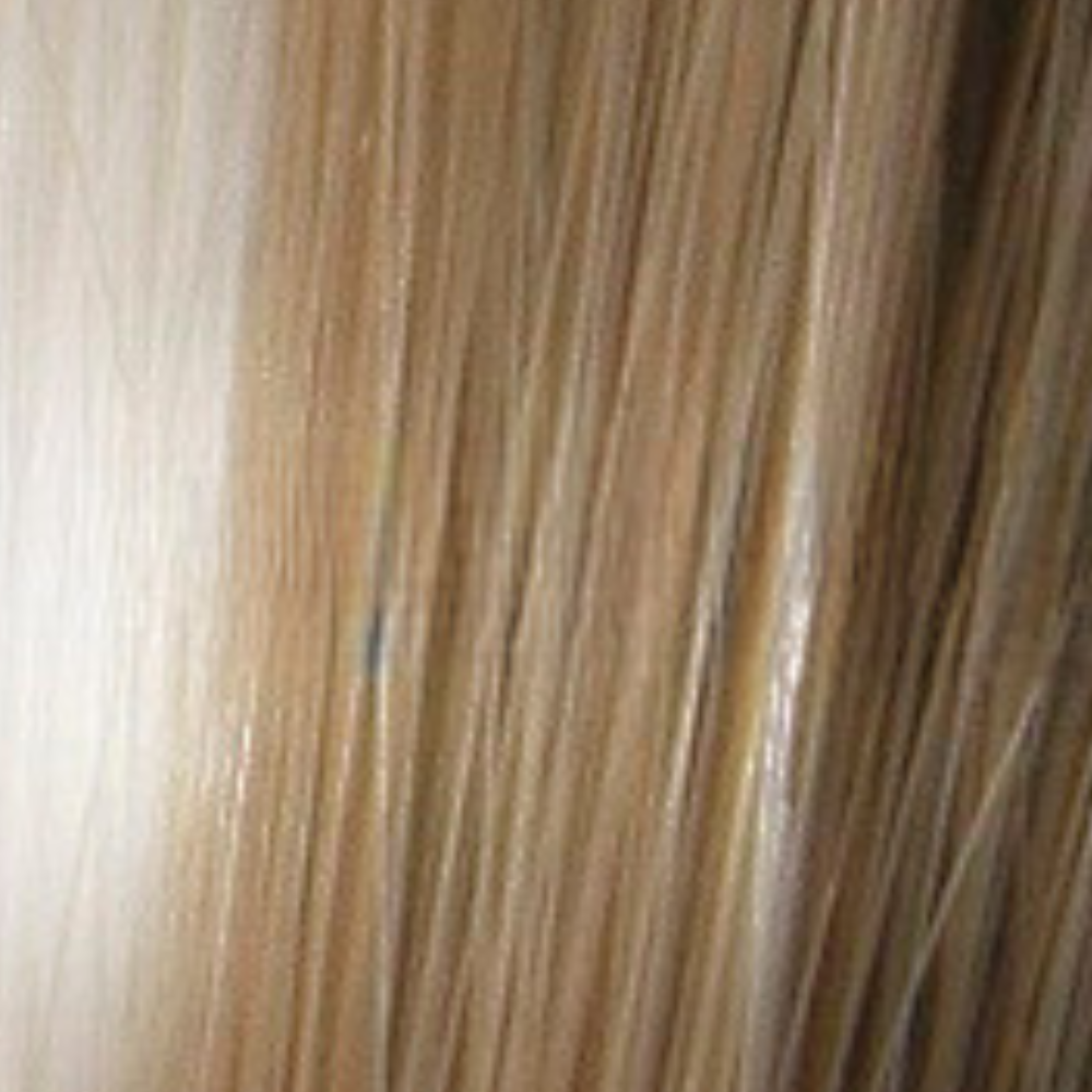 Blaze TressAllure Wig