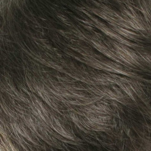 Clip and Twist - Hairware Hairpiece