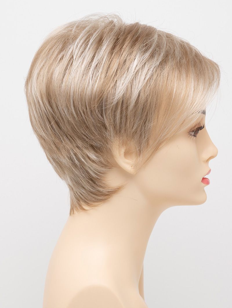 Shari Large Envy Wigs